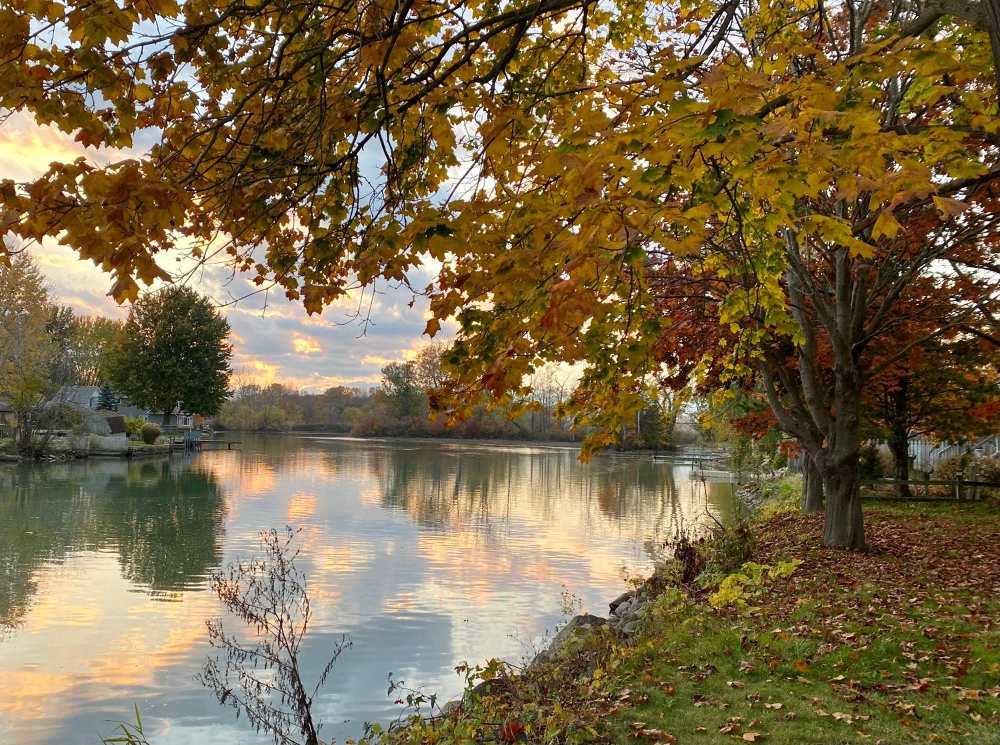 Creekside Cottage - Kayak, Sup, Fishing, Game Room, Steps To The Beach Kingsville Εξωτερικό φωτογραφία